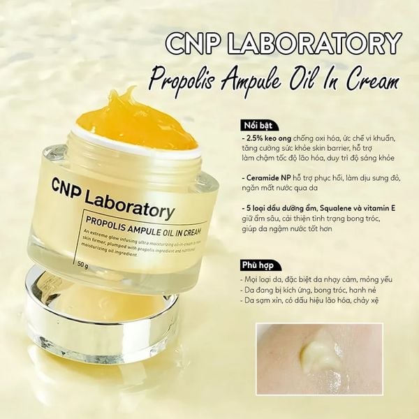 Kem Dưỡng Ẩm Chiết Xuất Keo Ong Dạng Dầu CNP Propolis Ampule Oil In Cream 50g 2 kem duong am chiet xuat keo ong dang dau cnp propolis ampule oil in cream 50g 3554 1