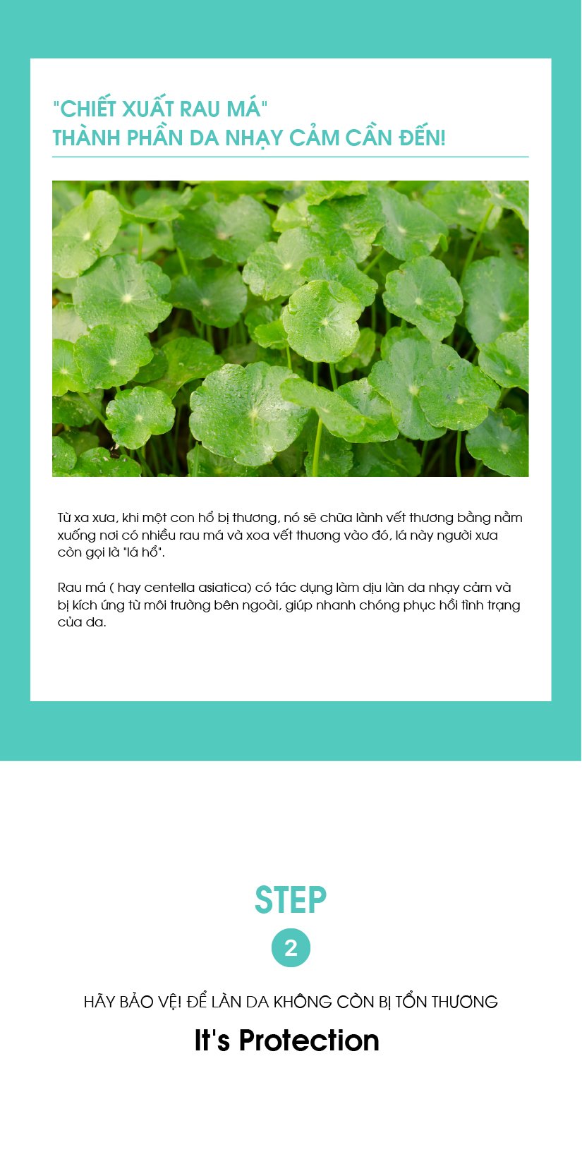 vitamin k cream kem ho tro lam diu da giam do cham soc da yeu sau corticoid 3649 3