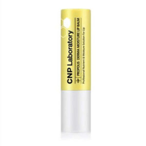 Son Dưỡng Môi Keo Ong CNP Propolis Derma Moisture Lip Balm 4G